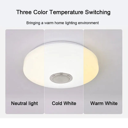 Modern Ceiling Lamps RGB Dimming Home Lighting APP Bluetooth Music Light 52W 36W Smart Ceiling Lights With Remote Control AC220V