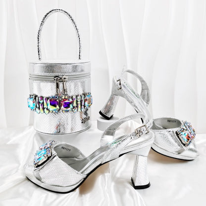 doershow New Italian Shoe and Bag Set New 2025 Women Shoes and Bag Set In Italy SILVER Italian Shoes with Matching Bag SM1-1