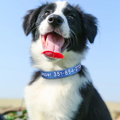 Embroidered Nylon Dog Collar Free Custom Dogs Collar Reflective Pet ID Name Phone No. For Small Medium Large Dogs Pug Adjustable