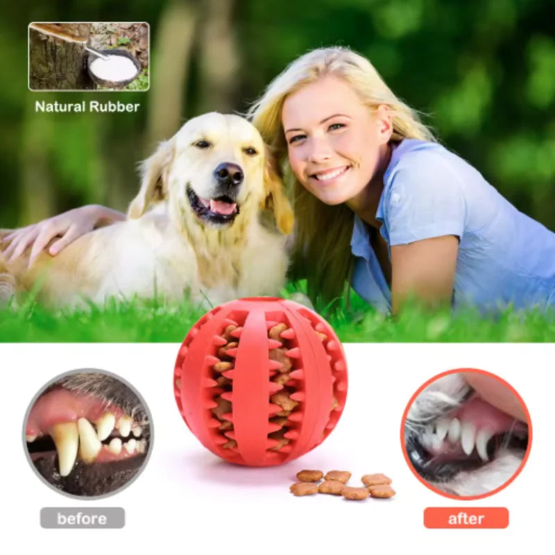 Interactive Silicone Rubber Ball for Dogs And Cats Puppy Chewing Toy Pet Tooth Cleaning Feeder Treat Ball Fun Chew Toy