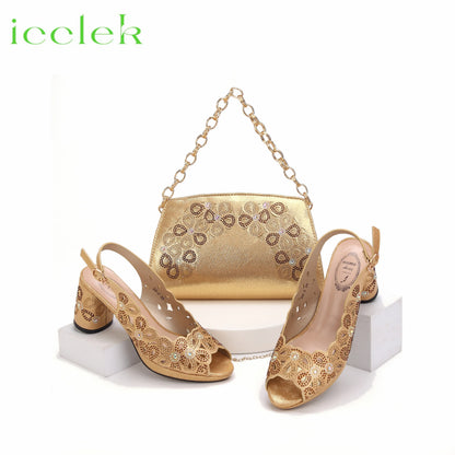 New Fashionable Coffee Color Peep Toe Ladies Shoes Matching Bag Set For Nigerian Women Wedding Party Pump