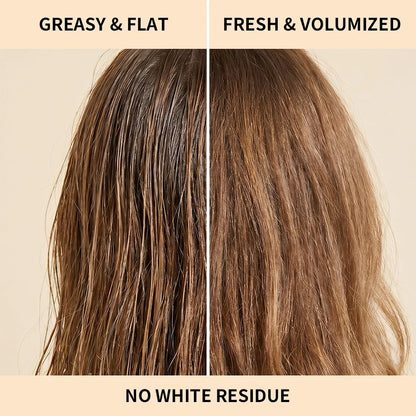 Dry Shampoo Powder Instant Oil Absorbing Refreshing Air-Feeling Grease Hair Styling Powder Travel Portable for Women Men