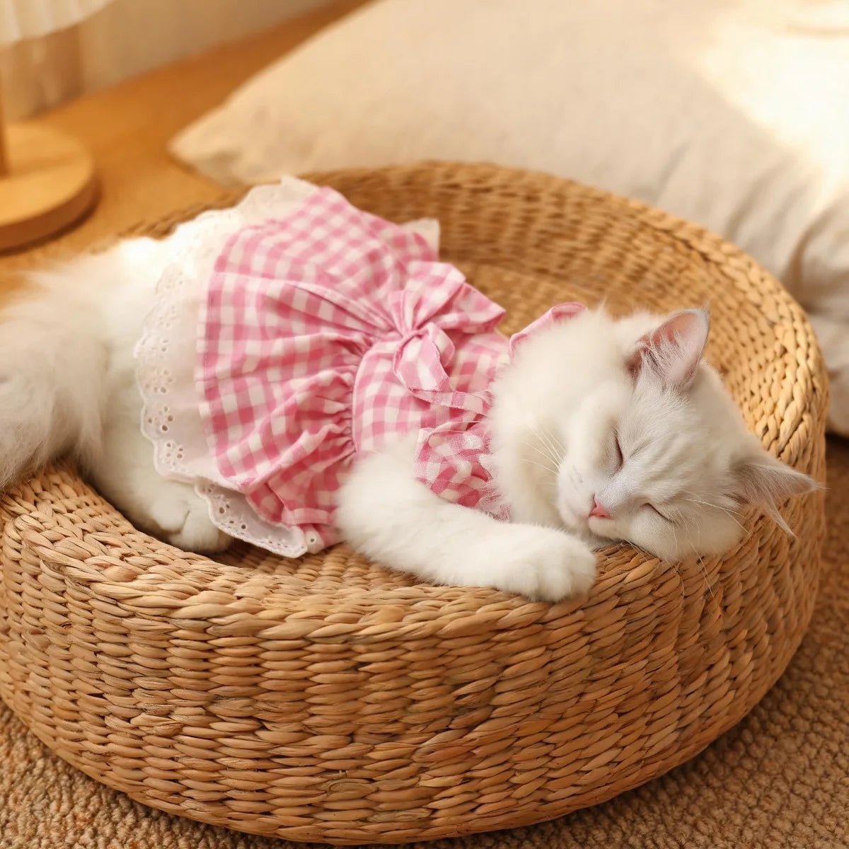 New Pet Clothing with Flying Shoulder Sleeves and Checkered Lace Dog Skirt, Cat Clothing Skirt