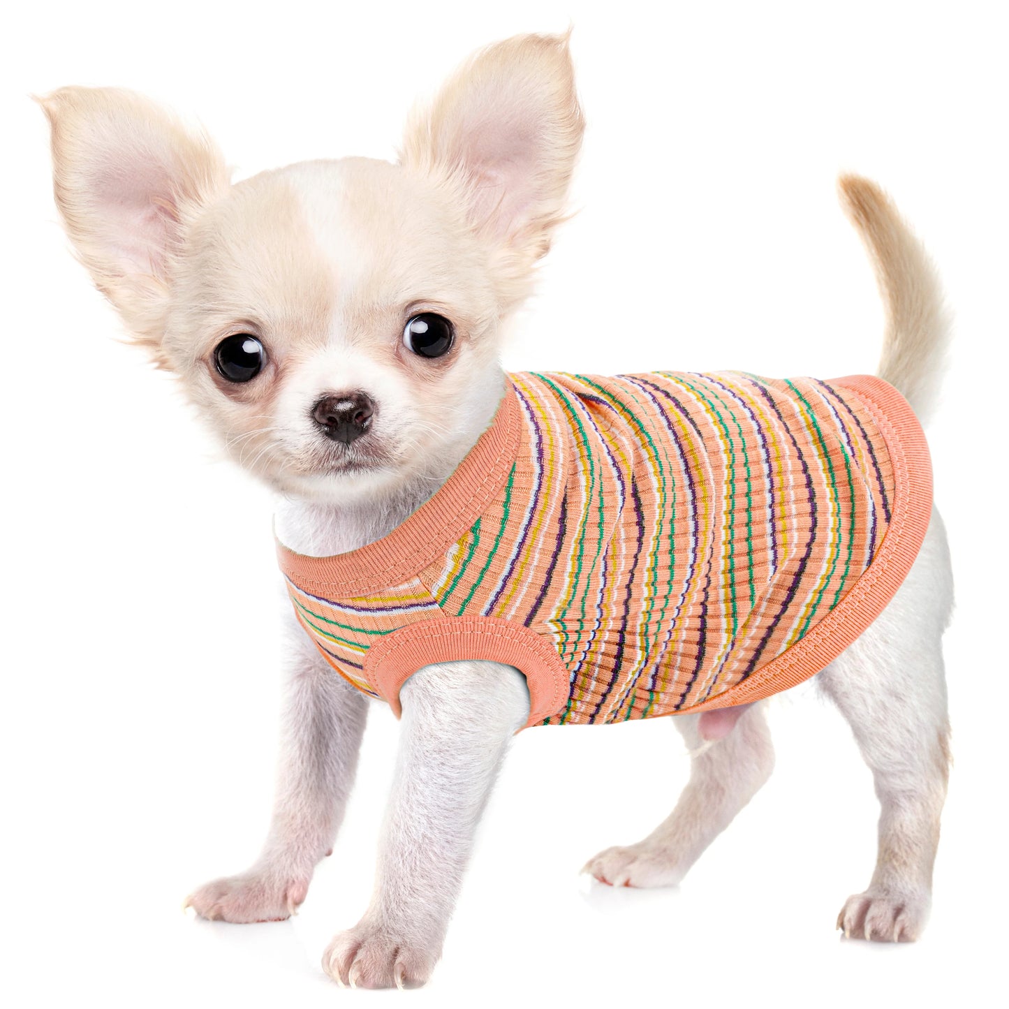 Rib Dog Shirt Vest for Small Dogs Chihuahua Puppy Clothes Tank Tee-Pink