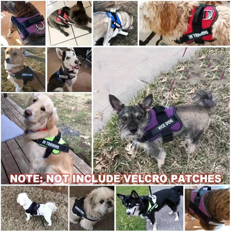 Dog Leash Vest Style Chest Harness Pet Supplies Stretchable Dog Chain Reflective Small Medium Adjustable Dogs Comfortable Secure