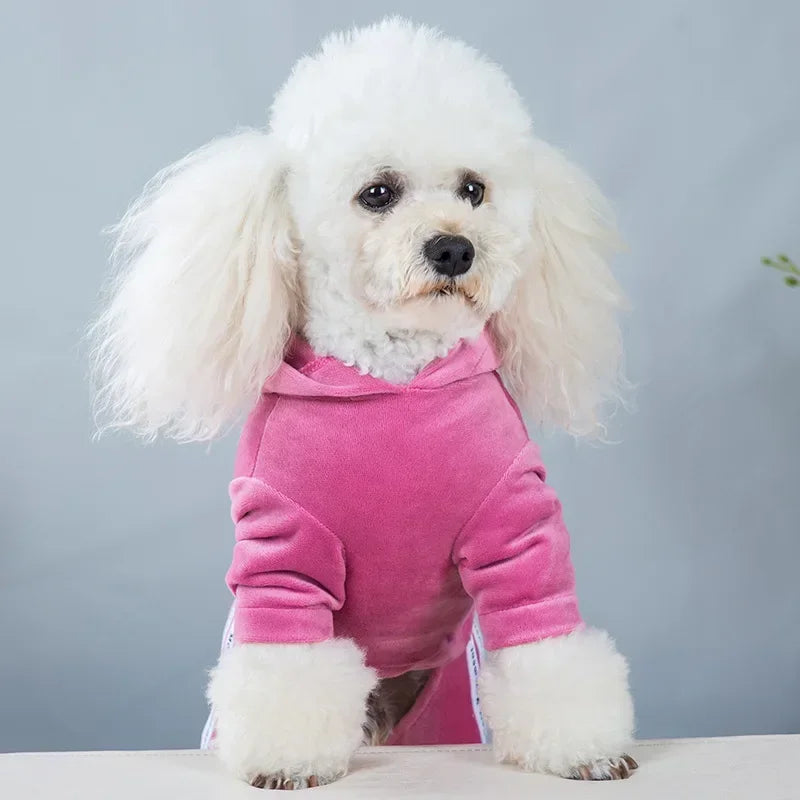 Luxury Velvet Dog Clothes,Dog Jumpsuit,Small Medium Dogs,Yorkie Puppy Costume,Hooded Coat,Tracksuit Overalls,Autumn,Winter