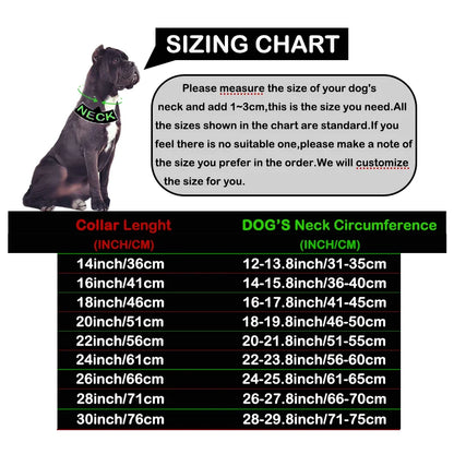 Large Dog Collar 32mm Metal Pet Choker Gold Silver Stainless Steel Chain Dog Accessories for Cane Corso Labrador Rottweiler
