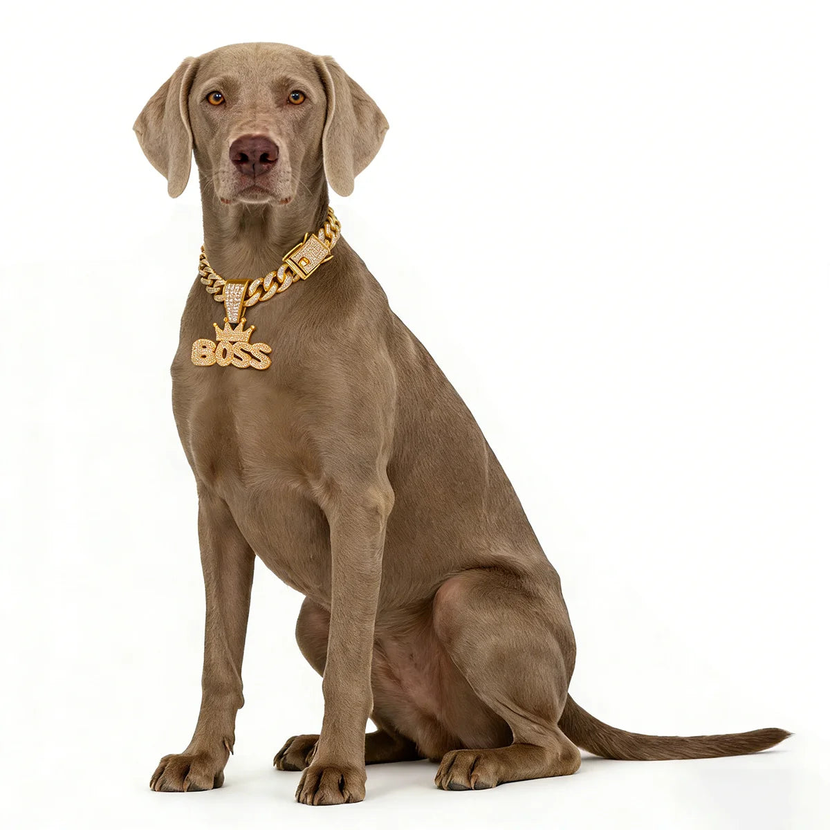 Cuban Dog Chain, Alloy Pet Dog Collar, Gold Necklace for Small to Large Dogs CEO BOSS Luxury Pendant Jewelry Accessory 2026 NEW