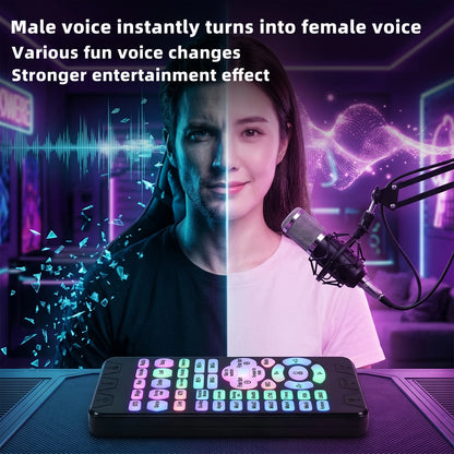 M9 Voice Changer Set Microphone D/A Input Channel K-Songs/Live Streaming/Bel Canto/Voice Changing For Game Anchor Recording