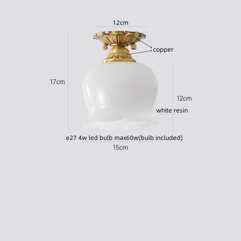 IWHD Home Lighting LED Ceiling Lights Decoration Aisle Porch Living Room Light Fixtures Nordic Ceiling Lamp Resin Copper Lustres