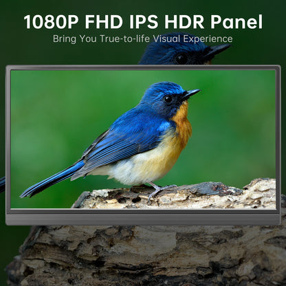 Portable Monitor 15.6 inch FHD 1080P - Ultra-Slim Portable Laptop Monitor with Kickstand - IPS Travel Monitor for Laptop PC, MAC, Phone, Xbox, PS5 - USB-C & HDMI Connectivity