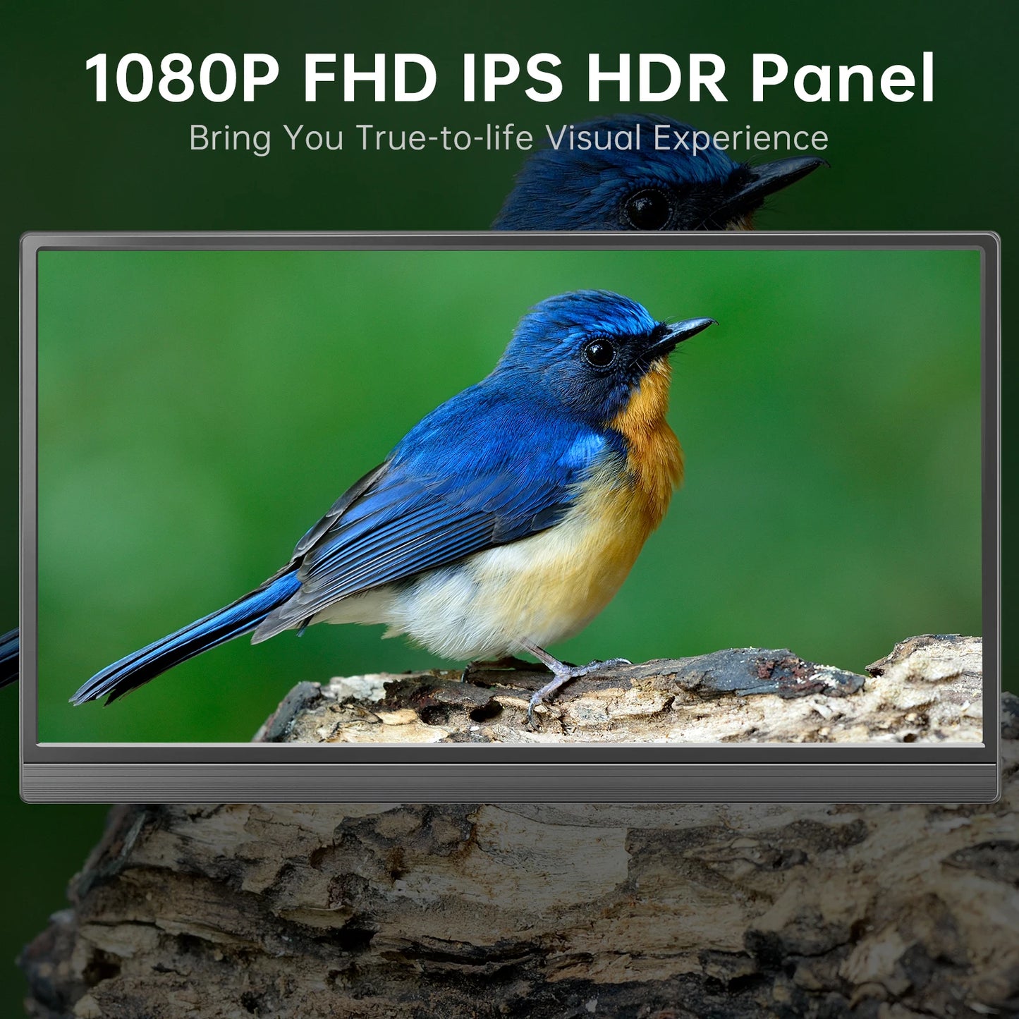 Portable Monitor 15.6 inch FHD 1080P - Ultra-Slim Portable Laptop Monitor with Kickstand - IPS Travel Monitor for Laptop PC, MAC, Phone, Xbox, PS5 - USB-C & HDMI Connectivity