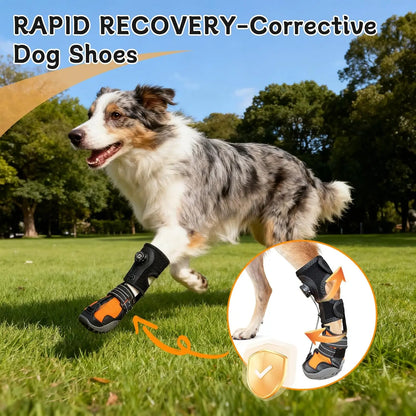 No KnucklingCorrective Dog Shoe,Drop Foot Support with Adjustable Reel, Paw Leg Brace Support - Lift Toes for Arthritis,Mobility