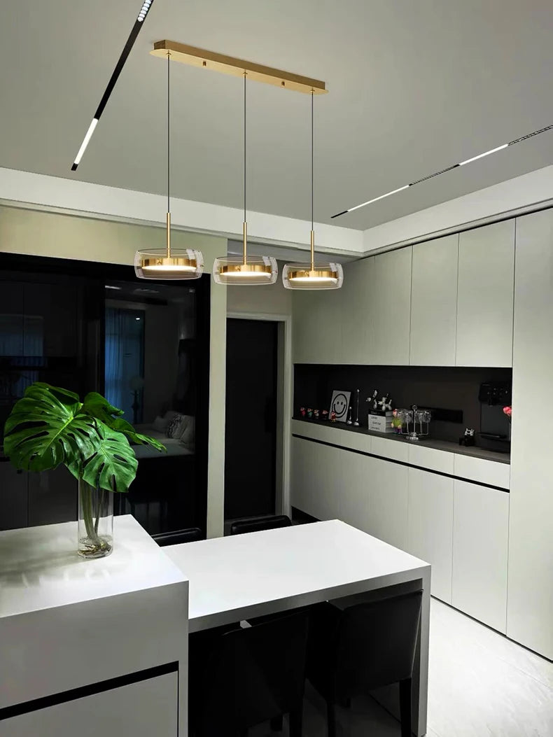 Modern home decor led lights pendant light lamps for living room Chandeliers for dining room hanging light indoor lighting