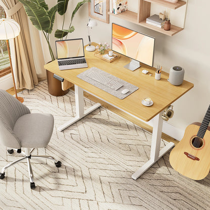 MCQ 48x24 Inch Ergonomic Height Adjustable Electric Standing Desk Sit Stand Computer Workstation Standing Table for Home Office