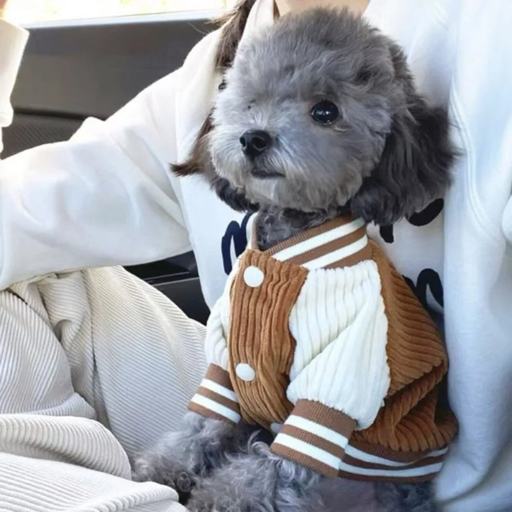 Warm Pet Baseball Jackets Comfortable Embroidered Patterns Two-Legged Dog Clothing Thicken Dog Sweatshirt Daily Walk