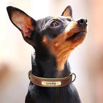 Personalized Dog Collar Leash PU Leather Dogs Collars Pet Rope Engraved Pet ID Name Necklace for Small Large Dogs Soft Padded