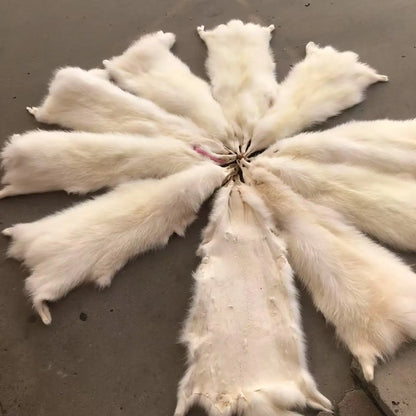 Animal fur pelts real Raccoon dog fur skins high quality Chinese raccoon skin fur