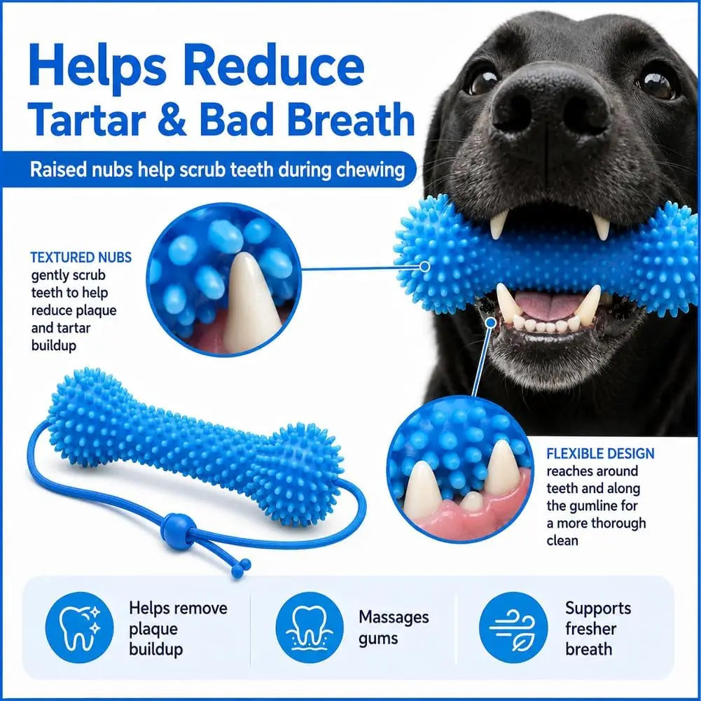 Dual-Action Canine Dental Prop, Dog Dental Chew Toy for Teeth Cleaning Brushing, Reusable Dental Chews for Dogs