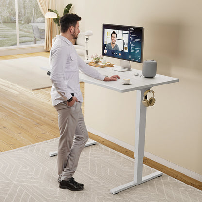 MCQ 48x24 Inch Ergonomic Height Adjustable Electric Standing Desk Sit Stand Computer Workstation Standing Table for Home Office