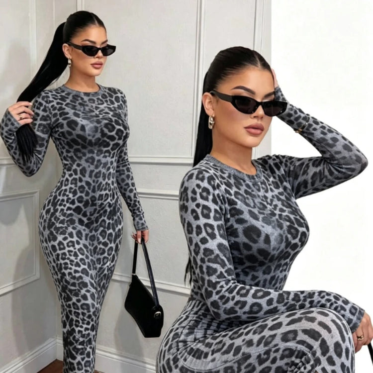 Spicy Girl Long Sleeve Leopard Print Slim Fit Women Party Dress O-neck Hot Girl See-through Dresses Y2k Sexy Sheer Clubwear