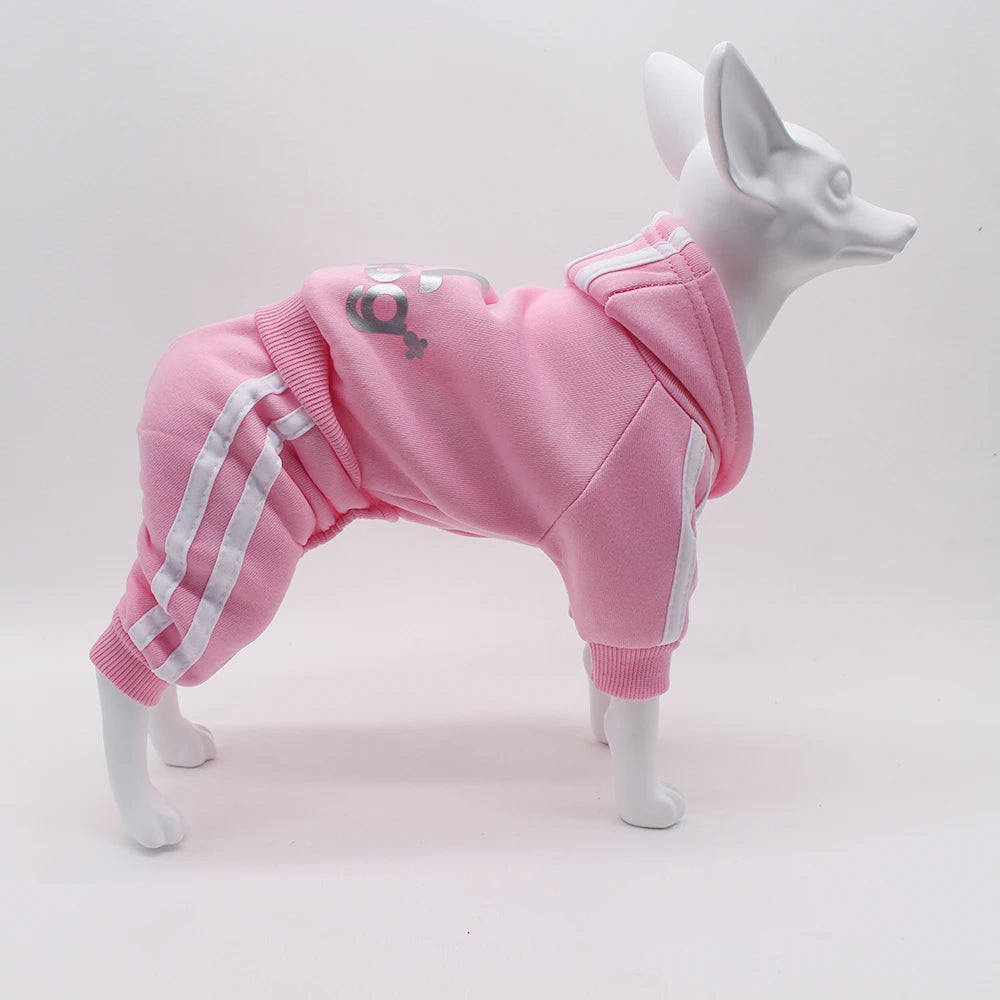 Spring Dog Jumpsuit Sports Suit for Small Dogs - Charming Pet Apparel for Chihuahua Terrier Beagle - Comfortable Clothing