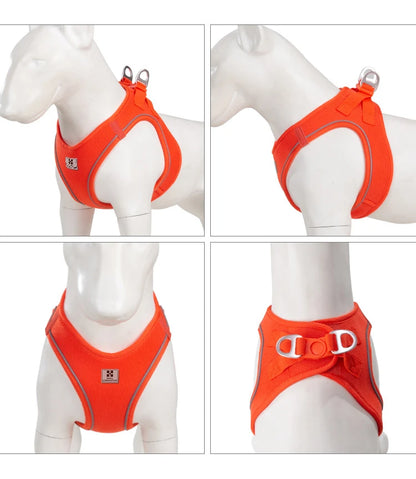 Dog Harness Leash Set for Small Medium Dog Adjustable Reflective Puppy Cat Harness Pet Vest Chihuahua Dachshund Outdoor Walking