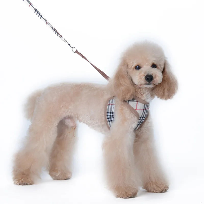 Tide brand pet chest back strangulation dog leash set dog walking rope cat adjustable dog chest back.