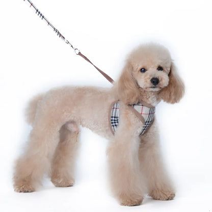 Tide brand pet chest back strangulation dog leash set dog walking rope cat adjustable dog chest back.