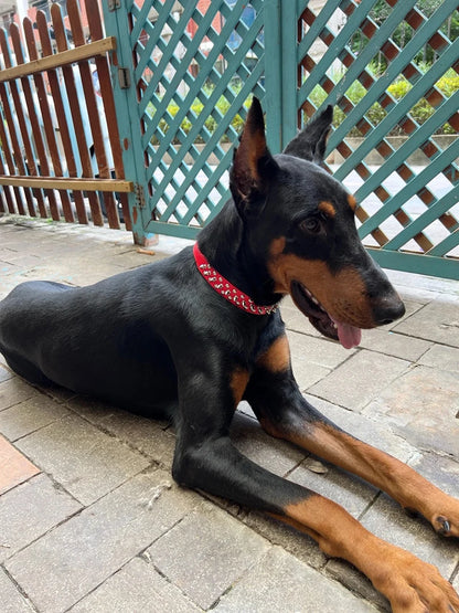 PU Dog Collar with Spike Rivet Adjustable Anti-Bite Pet Collars for Small Medium Large Dogs Bull Terrier Doberman Pinscher