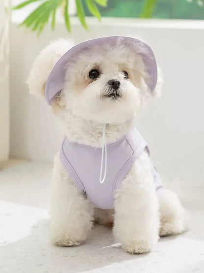Pet Dog Summer Cooling Vest with Cap Breathable Mesh Sun Protective Shirt for Dogs&Cats，Lightweight Outdoor Pet Clothes Set