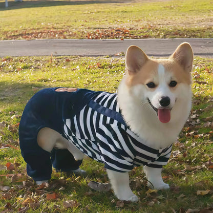 Autumn Winter Pet Dog Soft Fleece Clothes Warm Jumpsuit Coat for Small Medium Large Dog Cat Puppy Jacket Sweater with Leash Ring