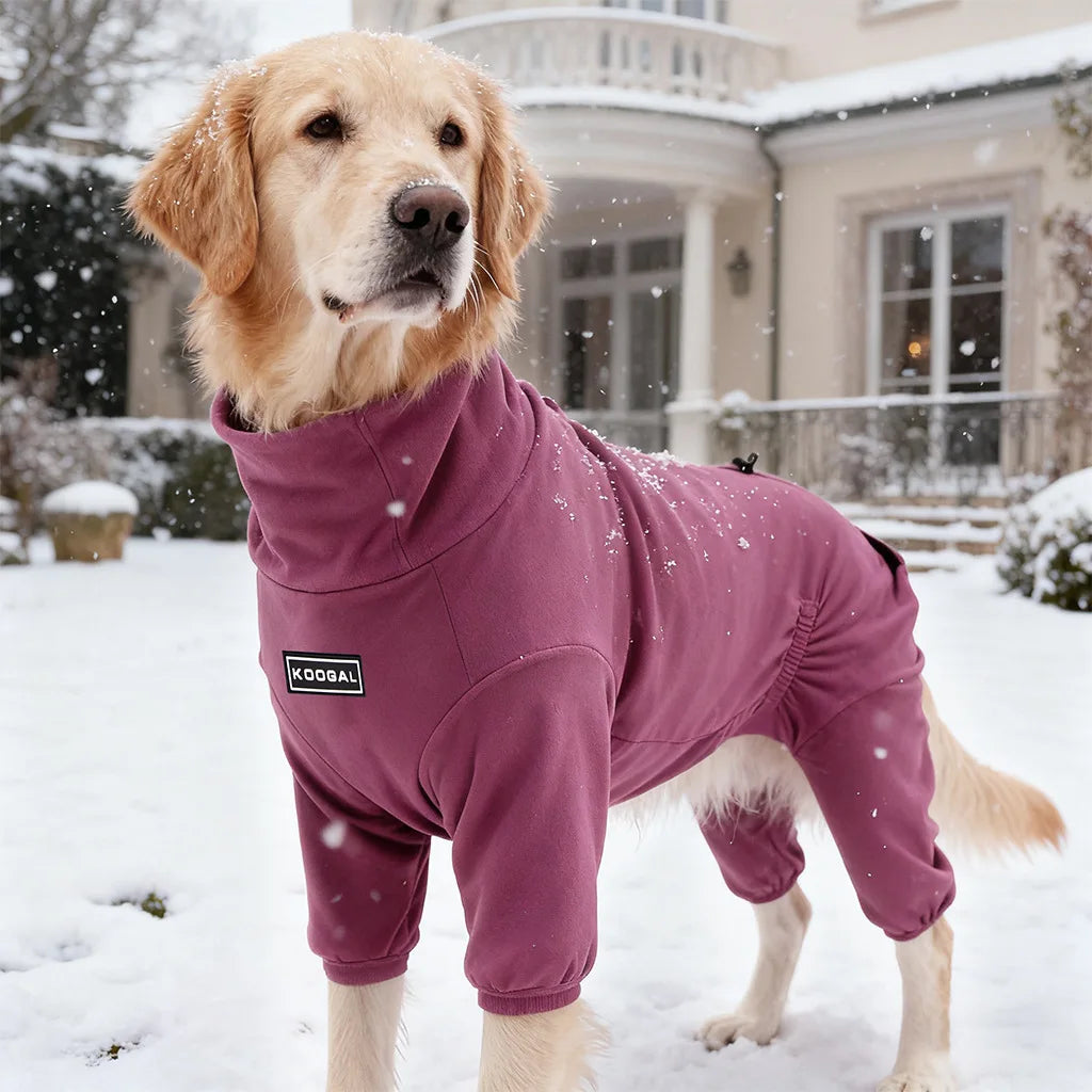 Spring Winter Velvet Four Leg Sweatshirt for Huibit Autumn Warm Green Coat for Bedlington Italy Greyhound Coffee Green Pajamas