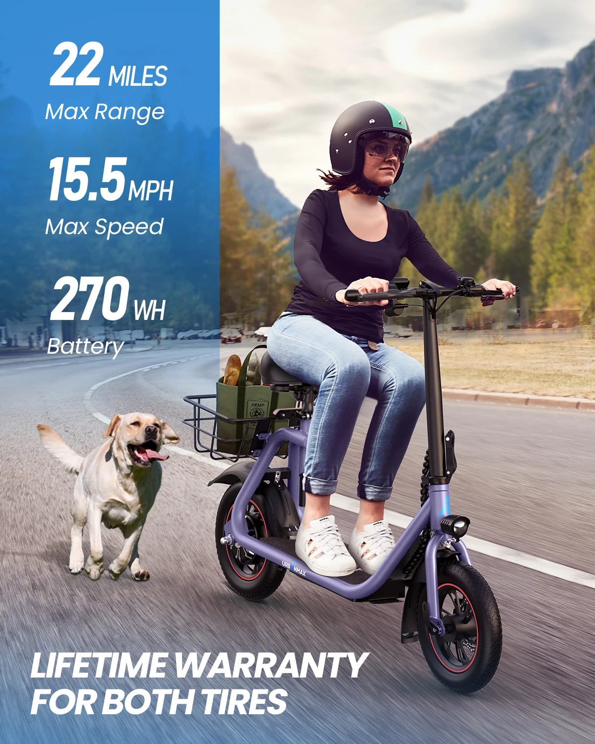 GYROSHOES Adult Electric Scooter with Seat – 450W Motor, 15-Mile Range, 16 MPH, 12" Tires, Rear Basket, UL2272 Certified, Adjustable Seat for Commuting & Errands