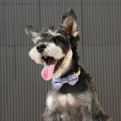 Personalized Dog ID Collar Cute Bowtie Pet Collars Necklace Free Engraving Puppy Cat Buckle Collar For Small Medium Dogs Cats