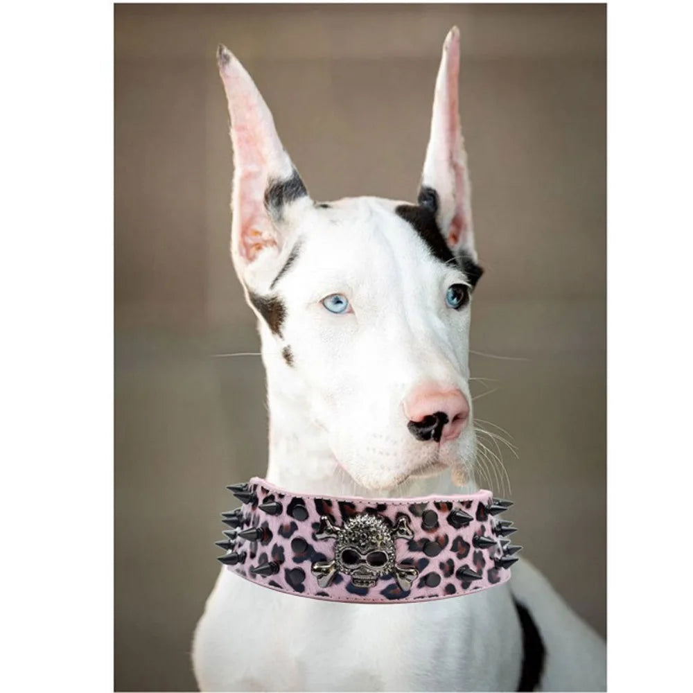 Spiked Dog Collars Leather for Large Medium Dogs Pit Bull Mastiff Rottweiler Pitbull Labrador Boxer Medium To Large Skull Collar