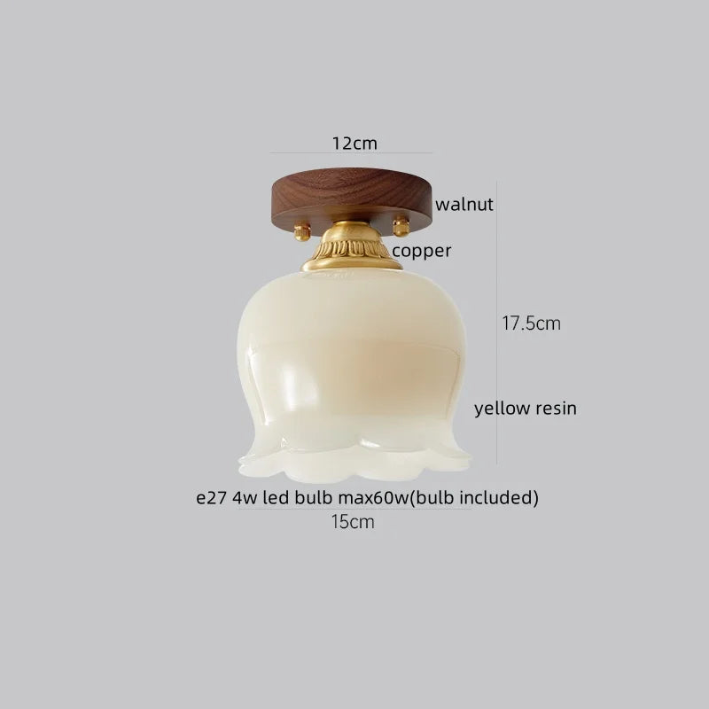 IWHD Home Lighting LED Ceiling Lights Decoration Aisle Porch Living Room Light Fixtures Nordic Ceiling Lamp Resin Copper Lustres