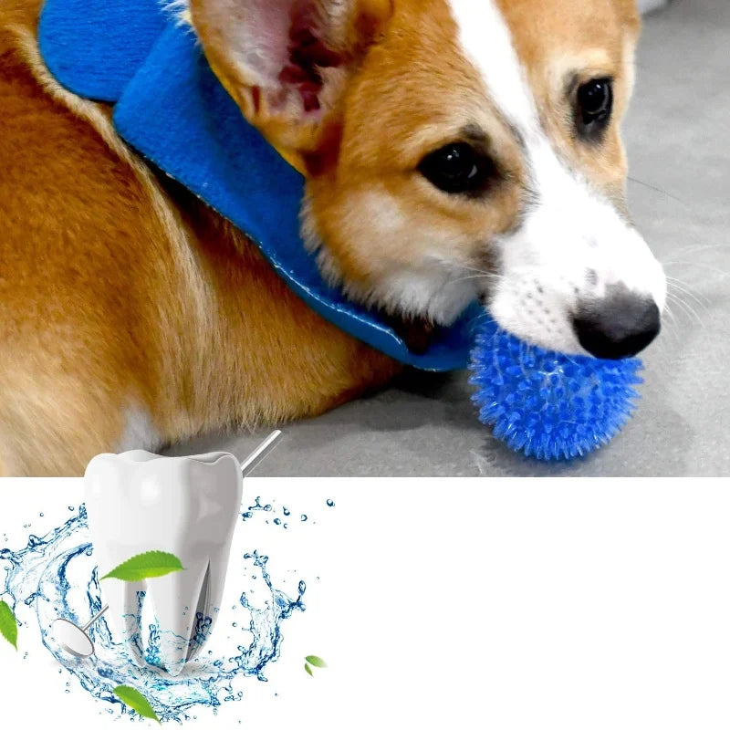 Pet Tooth Cleaning Sounding Chew Ball - Thornless Chewing Toy for Puppy Training Teeth Accessories for Cats And Dogs