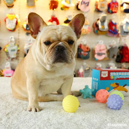 1pcs Diameter 6cm Squeaky Pet Dog Ball Toys for Small Dogs Rubber Chew Puppy Toy Dog Stuff Dogs Toys Pets Brinquedo Cachorro