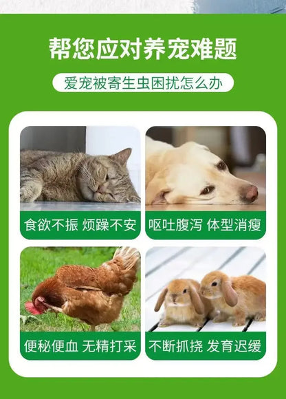 Deworming for pet cats and dogs can eliminate Torreya caris roundworms, nematodes, fleas and lice both inside and out