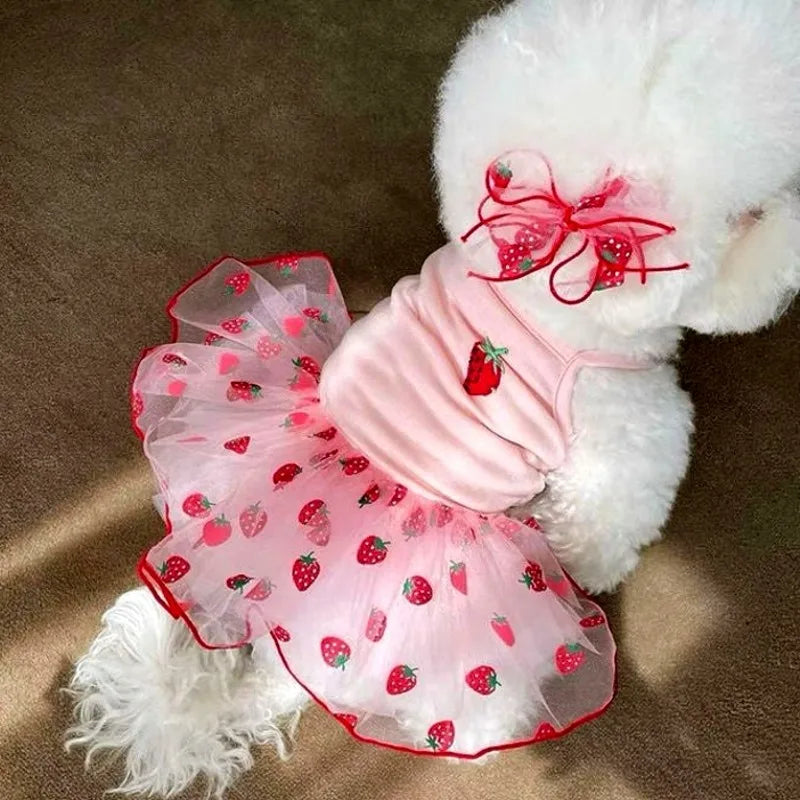 Luxury Dog Dress for Small Dogs Summer Puppy Clothes Bow Lace Dog Skirt Black White Dog T Shirt Girls Dog Costume Chihuahua Vest