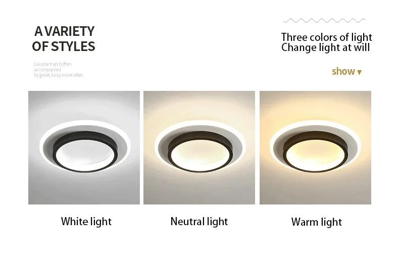 Modern 3 Color Temperature LED Ceiling Lamp Baked Enamel Many Styles Hallway Lamps Balcony Lights Bedroom Living Room 90V-260V
