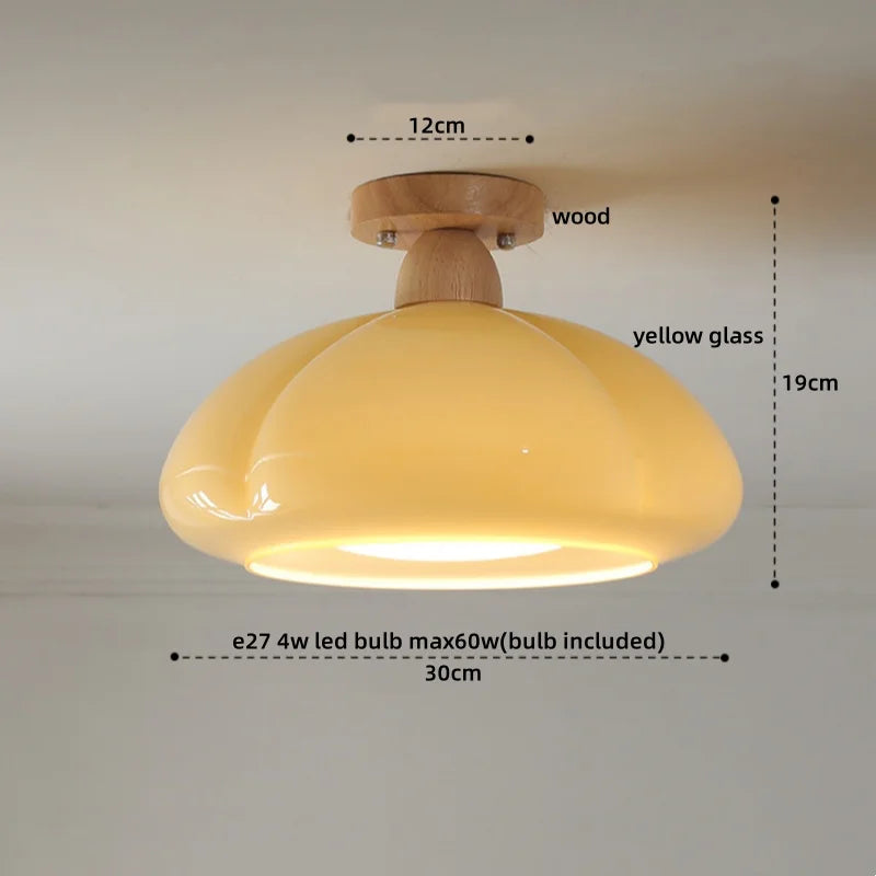 IWHD Home Lighting LED Ceiling Lights Decoration Aisle Porch Living Room Light Fixtures Nordic Ceiling Lamp Resin Copper Lustres