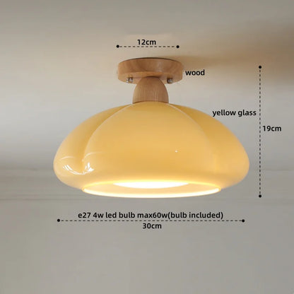 IWHD Home Lighting LED Ceiling Lights Decoration Aisle Porch Living Room Light Fixtures Nordic Ceiling Lamp Resin Copper Lustres
