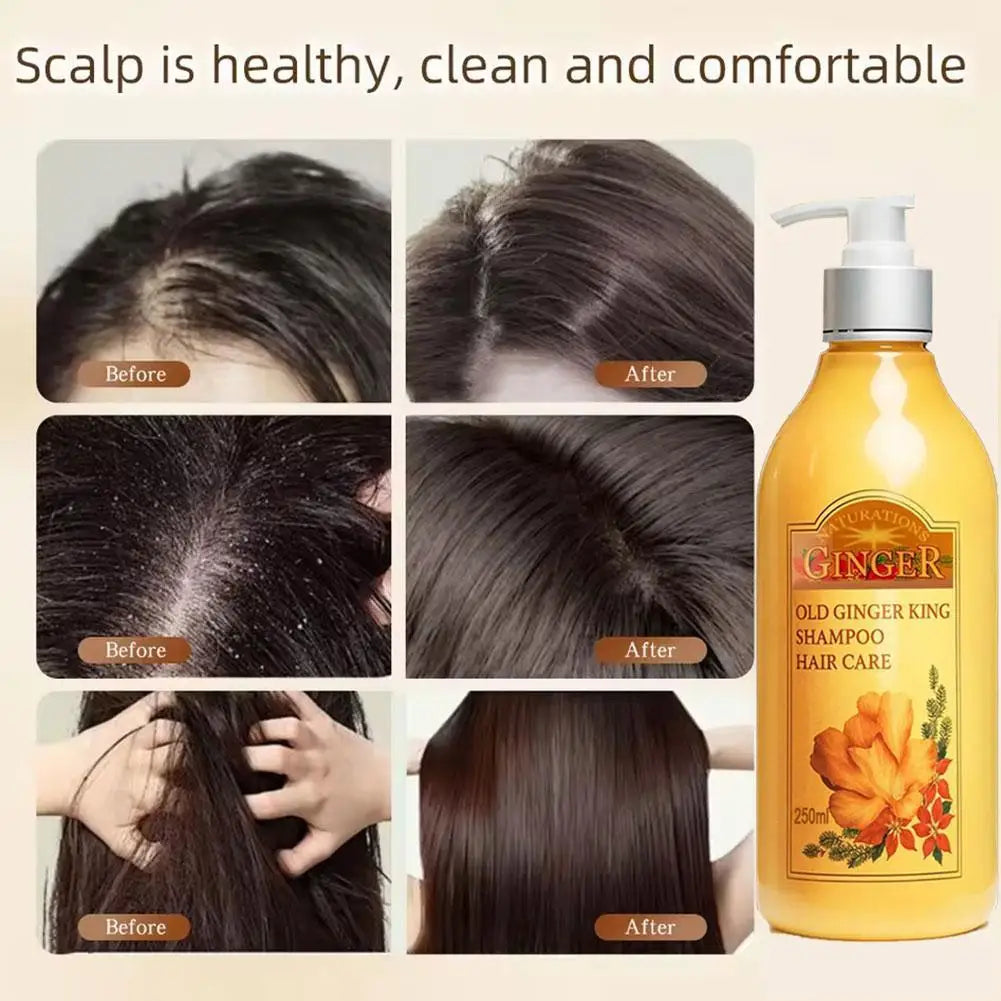 250ml Old Ginger Juice Hair Shampoo Professional Hair Scalp Treatment Oil Control Dense Anti Hair Loss