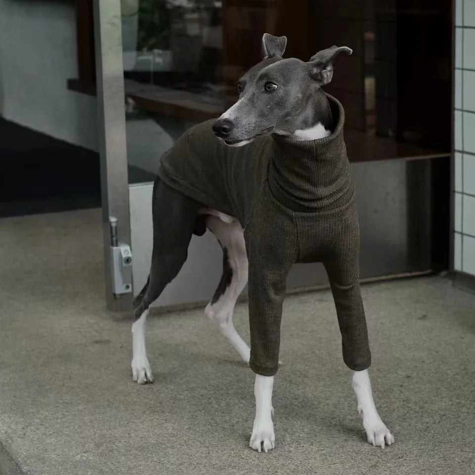 Spring Clothing for Italy Greyhound  Autumn Soft High-Neck Cotton Grey T-shirt for Whippet Winter Long Sleeved Pajamas for Dogs