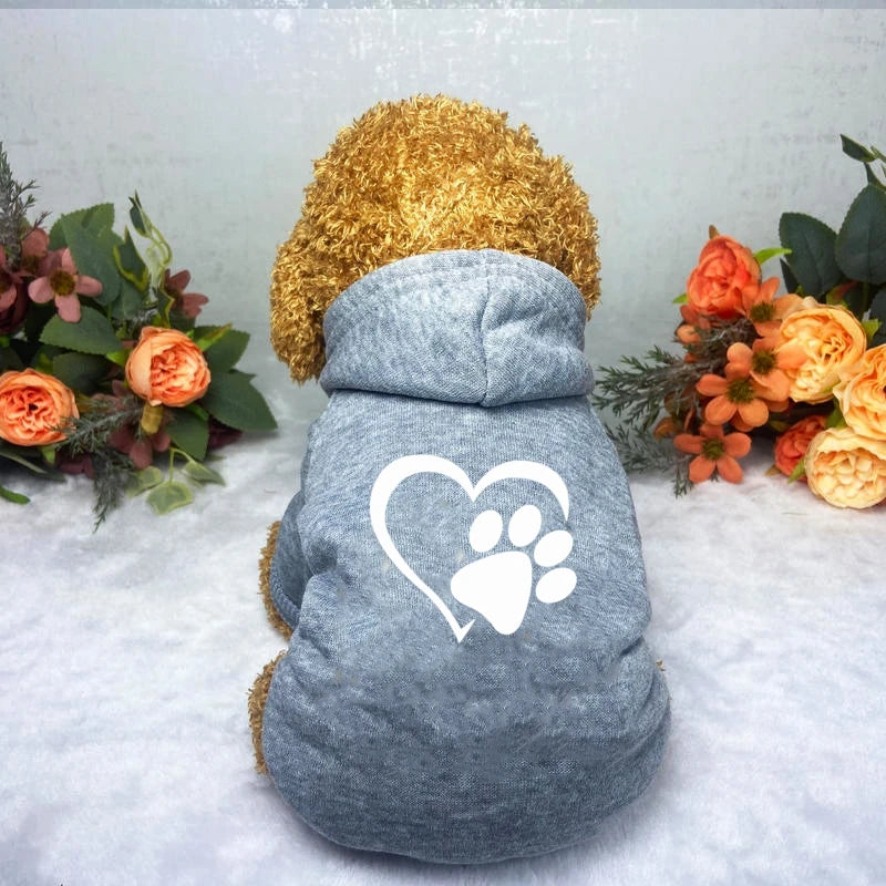 Puppy Pet Hooded Sweatshirt Autumn Winter Two-legged Pocket Cat Dog Clothes