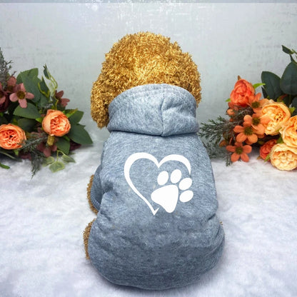 Puppy Pet Hooded Sweatshirt Autumn Winter Two-legged Pocket Cat Dog Clothes