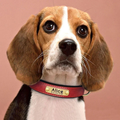 Personalized Customized Leather ID Nameplate Dog Collar Soft Padded Dogs Collars Free Engraving Name for Small Medium Large Dogs