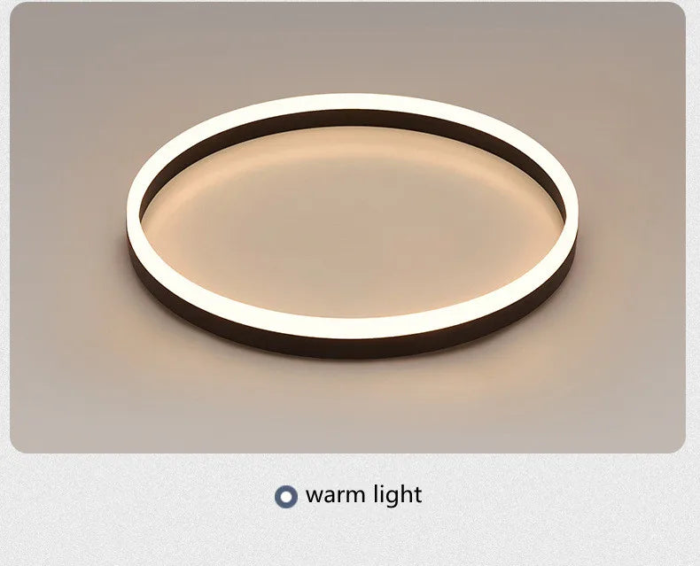 Modern Bedroom led Ceiling Lights Round Remote Control Dimmable led Living Room Ceiling Light White/Black Indoor Ceiling Lights